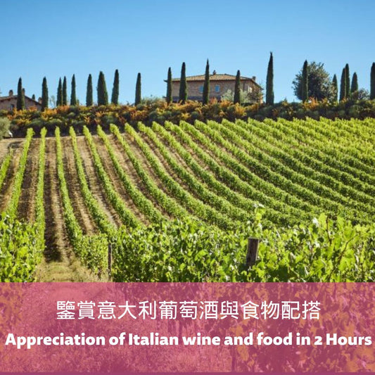 Appreciation of Italian wine and food in 2 Hours