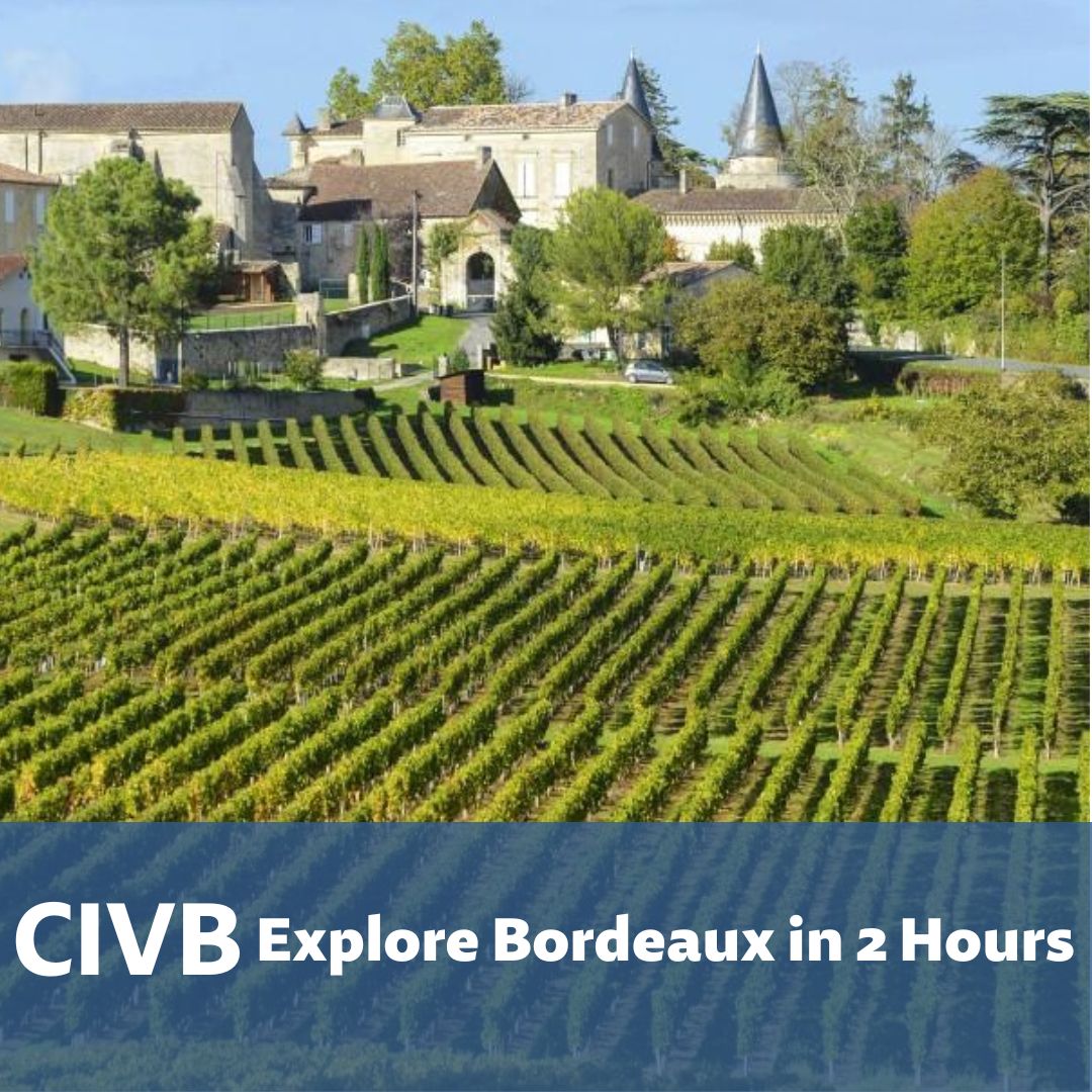 CIVB Level 1 - Bordeaux Introduction Certificate